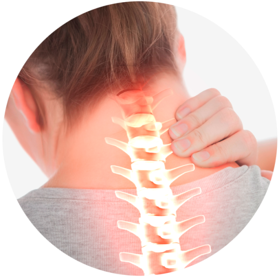 Здоровый позвоночник - Шведова (2015)_0.png